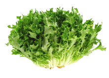 Салат Фрізе(1 кг)