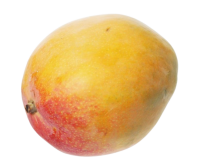 Манго Еліт Перу